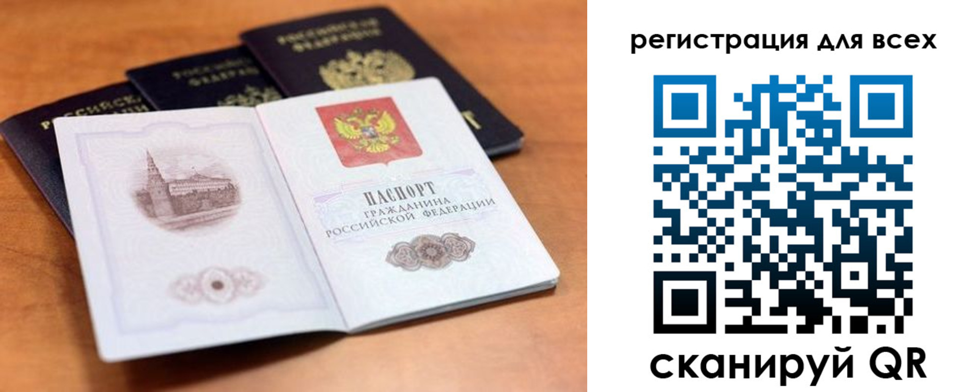 прописка гарантия в Полярных Зорях